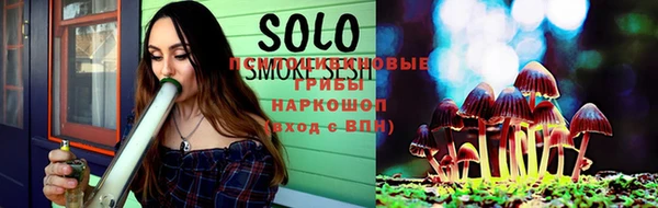 PSILOCYBIN Абаза
