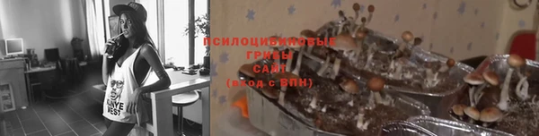 прущая мука Абинск