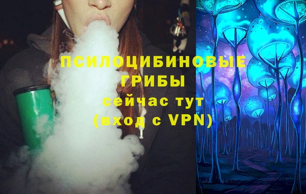 PSILOCYBIN Абаза