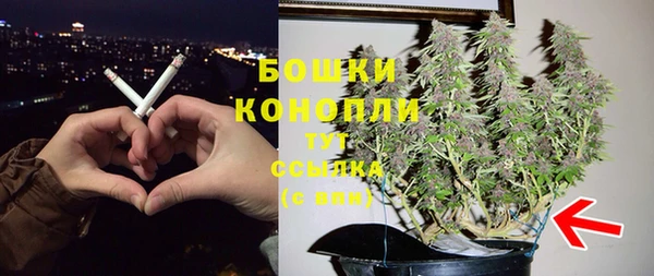 PSILOCYBIN Абаза