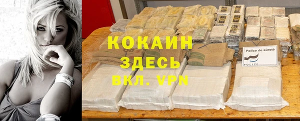 PSILOCYBIN Абаза