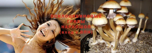 PSILOCYBIN Абаза