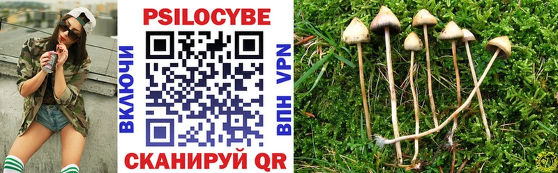 мега ссылки  Зеленокумск  Псилоцибиновые грибы Psilocybine cubensis 