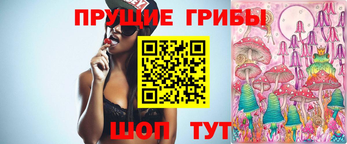 Псилоцибиновые грибы Psilocybe  Вход с VPN  Зеленокумск  где купить   Псилоцибиновые грибы Psilocybe 
