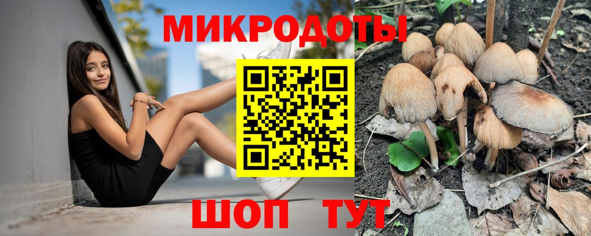 Псилоцибиновые грибы прущие грибы Зеленокумск